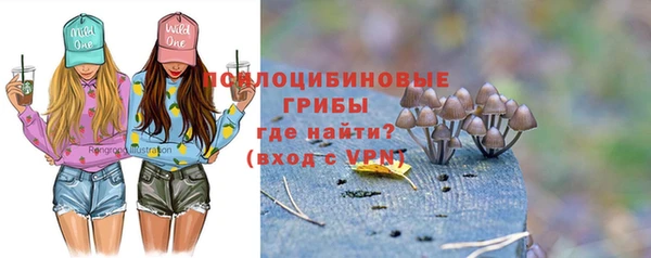 винт Абинск