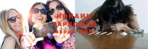 хмурый Абаза
