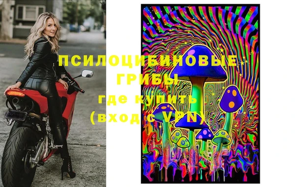 твердый Алексеевка