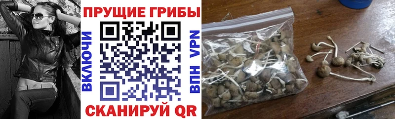 Псилоцибиновые грибы MAGIC MUSHROOMS  Шарыпово 